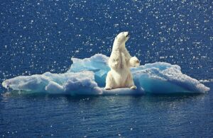 Temperatura oceanelor, la cel mai ridicat nivel din istoria măsurătorilor