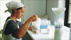 Albalact Shares Down 70% In 2008