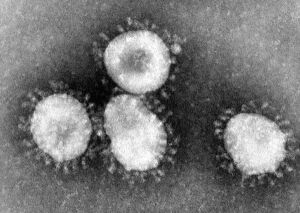 Sectorul turismului, îngrijorat de panica provocată de epidemia de coronavirus