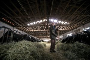 Agricover Credit IFN raportează o creştere a profitului net cu 21% faţă de anul precedent