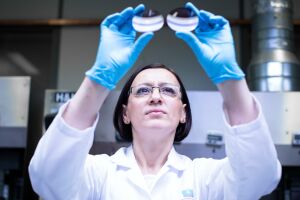 EssilorLuxottica a lansat un program de răscumpărare de acţiuni