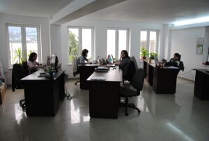 "Apetitul pentru relocări o să fie scăzut în 2020, revenirea va fi spre sfârşitul anului"