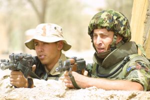 Cheltuielile militare nu vor fi reduse din cauza Covid-19