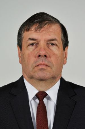 ŞTEFAN MIHU
