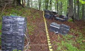 38500 de pachete cu ţigări de contrabandă confiscate la frontiera de nord a României