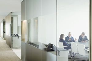 "Proiectul de lege care interzice vânzarea participaţiilor statului ar putea afecta dezvoltarea pieţei de capital"