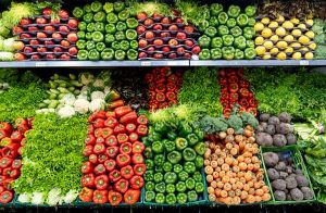 Cooperativa "Ţara mea" înfiinţează cooperative agricole pentru producţia de legume