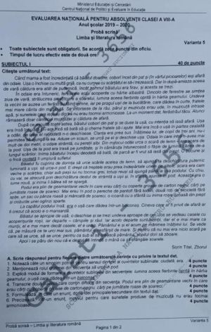 Ce subiecte au avut elevii la Limba şi Literatura Română
