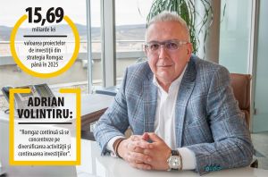"Romgaz nu a renunţat la niciun proiect de investiţii, în pandemie"