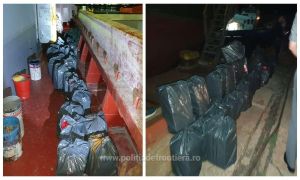 Peste 10.400 de pachete cu ţigări de contrabanda confiscate de Poliţia de Frontieră în Portul Midia