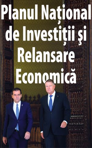 Microîntreprinderile solicită intervenţia imediată a Guvernului