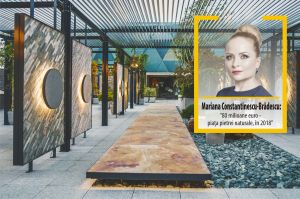 "Un proiect cu piatră naturală se consideră de lux"