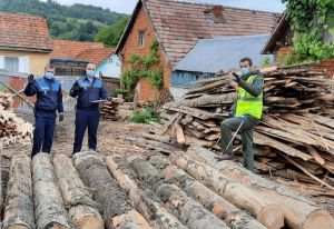 Mai mulţi hoţi de lemne, prinşi de poliţiştii argeşeni