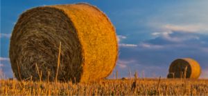S-au modificat condiţiilor de vânzare a terenurilor agricole situate în extravilan