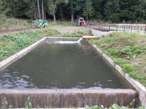 Poluatorul unui pârâu din Prahova a fost descoperit şi amendat