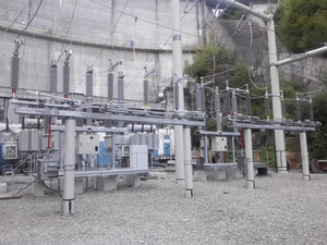 Hidroelectrica a modernizat şi pus în funcţiune Staţia Jidoaia