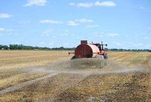 Tinerii fermieri pot beneficia de o suprafaţă de până la 50 de hectare concesionată din proprietatea statului