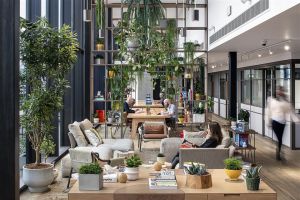 "Hub and Club", viitorul spaţiilor de birouri după Pandemie