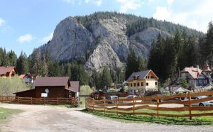 Impozite reduse pentru patronii din turism