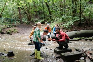 Acţiunea "World Largest Lesson" pune la îndemâna profesorilor materiale pentru a preda elevilor acţiuni împotriva schimbărilor climatice 