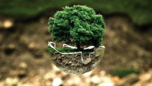 Natura se bucură, maşinile electrice câştigă teren în faţa celor "clasice"