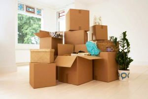 Cauţi servicii relocări firme sau locuinţe în Bucureşti? Apelează la profesioniştii de la NextMoving!