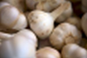 Buzăul, campion la atragerea ajutoarelor pentru cultivarea usturoiului