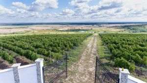 Interesul consumatorilor pentru vin românesc, de calitate,a crescut în ultimii ani