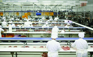 "Avicola" Iaşi a obţinut, la nouă luni, un profit de aproape 2,05 milioane de lei