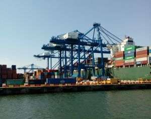 Exportatorii au fost scoşi din schemă