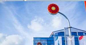 Rompetrol Well Services propune ca tot profitul anului trecut să meargă la dividende