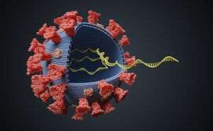 O nouă variantă de coronavirus circulă în Franţa