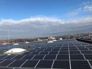 Enel X instalează peste 2800 de panouri fotovoltaice pentru retailerul Penny