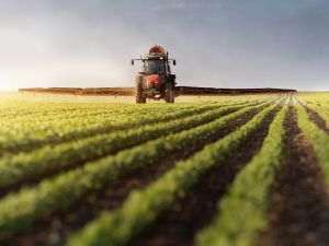 Fermierii au depus peste 395.000 de cereri de plată, pentru o suprafaţă de 2,23 milioane de hectare