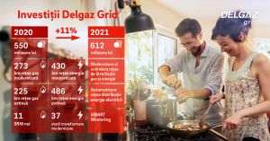 Delgaz Grid a alocat un buget de 126 milioane de euro pentru investiţii în reţele