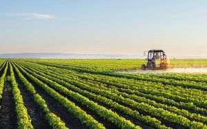 Buzăul îşi măreşte suprafaţa agricolă lucrată, dar are mai puţini fermieri