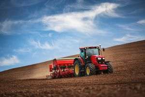 Ultima zi de depunere a cererilor de înscriere în Programul pentru susţinerea producţiei de plante aromatice