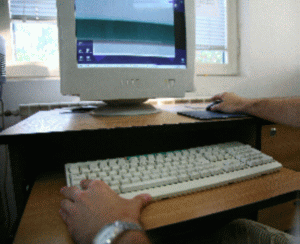 "Novensys" este interesată de o colaborare cu acele companii proactive, care şi-au creat deja o infrastructură IT.