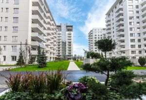 Impact vrea să-şi majoreze capitalul cu cel mult 193,7 milioane lei