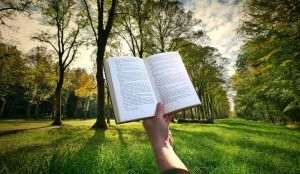 Biblioteca se mută în parc
