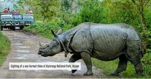 Descoperiţi India! Oportunităţi economice în Assam
