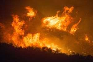 Peste 40 de morţi în incendiile care au devastat nordul Algeriei