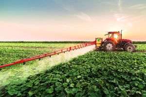 Fermierii din România, lideri la producţia de cereale şi oleaginoase în anul 2021