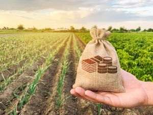 Bugetul alocat pentru instalarea tinerilor fermieri este de 100 de milioane de euro