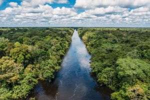 Comunităţile indigene din America de Sud lansează un apel pentru protejarea Amazoniei