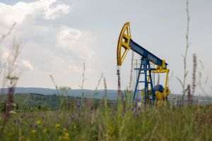 Evoluţia grupului OMV Petrom