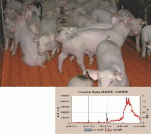 Nutricom" Olteniţa a investit 1,5 milioane de lei în trimestrul al treilea din 2008