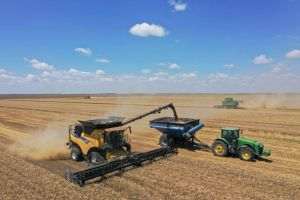 Holde Agri Invest raportează venituri de 14,9 milioane lei, în creştere cu 193%