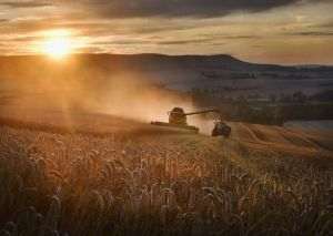AFIR a publicat Ghidul solicitantului de accesare a fondurilor europene pentru procesarea produselor agricole