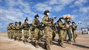 A fost autorizată prelungirea cu doi ani a operaţiunilor armatei în Siria şi Irak